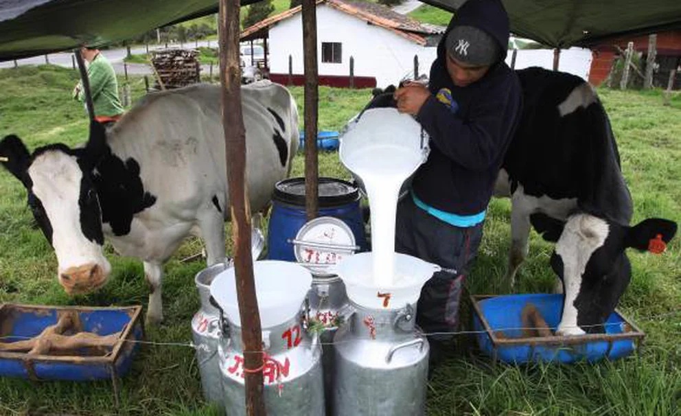 El problema de colombia no es el petróleo ni el gas sino la ganadería, aseguran ambientalistas