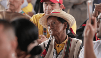 Ministra De Ambiente Traza Plan Para Proteger A Los Defensores Ambientales