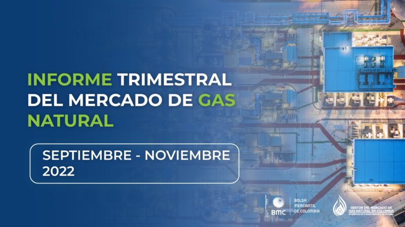 Informe Trimestral Del Mercado Del Gas Natural Sep Nov 2022